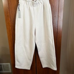 NWT Aritzia The Group by Babaton Powell Pant - Whitecap Grey - Medium
